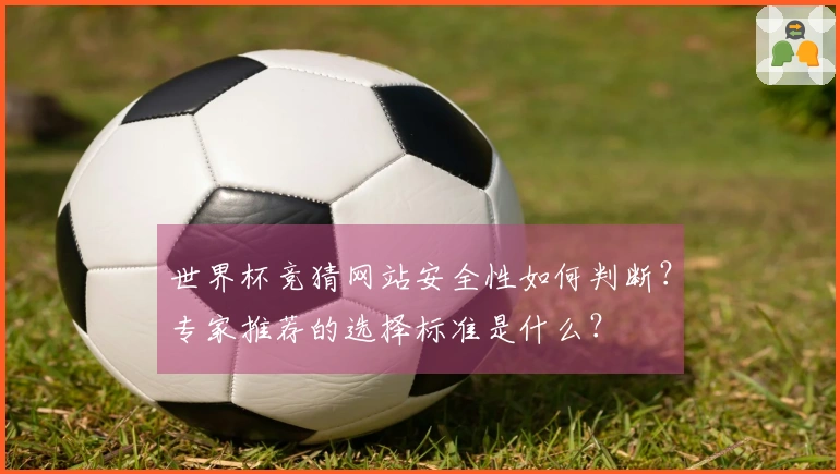 世界杯竞猜网站安全性如何判断？专家推荐的选择标准是什么？